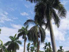 -西双版纳傣族园