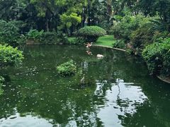 -九龙公园