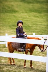 -木棉花亲子儿童摄影