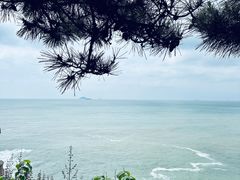 -小麦岛公园