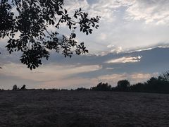 -东郊湿地公园