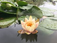 -星河温泉小镇