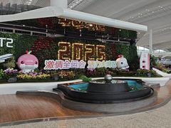 -广州白云国际机场-T2航站楼