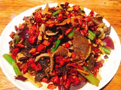 -福苗小骆驼烧烤(莲湖路店)
