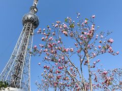 -文华公园(禅城区)