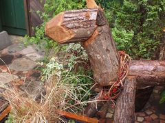 -三鹰之森吉卜力美术馆