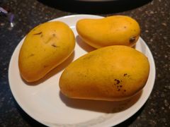 -虹桥机场国航贵宾室v8