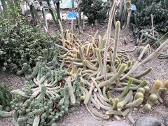 -南山植物园
