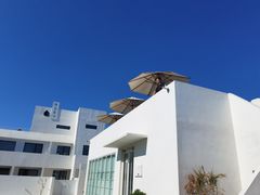 -海岛日记(养马岛店)