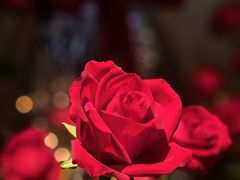 -嘎纳时光餐厅(水游城尚街店)