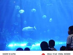 -华夏文旅西安度假区