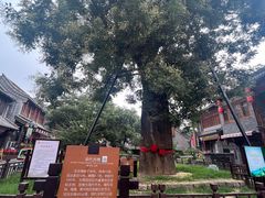 -青州古城
