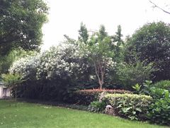 -上海汾阳花园酒店