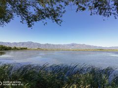 -野鸭湖国家湿地公园