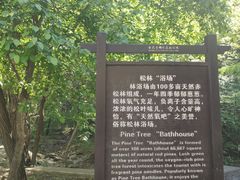 -金龙寺国家森林公园