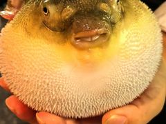 -永安鱼庄·镇江菜(东吴路店)