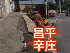 -辛庄国际文化艺术区