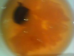 -黔蘑菇四季餐厅(观山湖店)