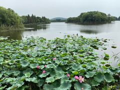 -上海市保健医疗中心