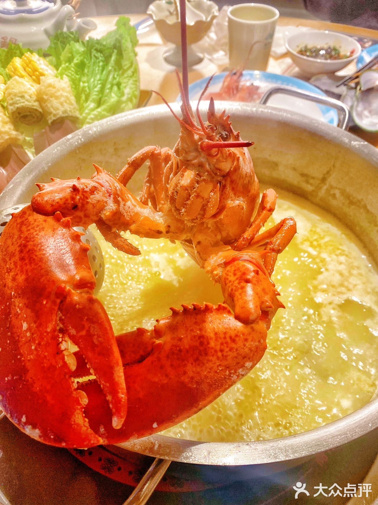 吃了这煲大石斑花胶鸡🐔温暖我心❤