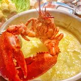 吃了这煲大石斑花胶鸡🐔温暖我心❤
