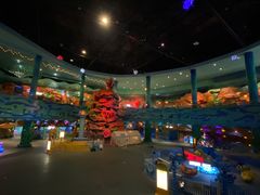 -青岛嘉年华主题乐园