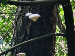 -小格里自然风景区