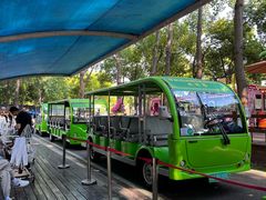 -合肥滨湖国家森林公园