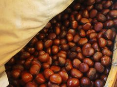 -老海栗子(五四路店)