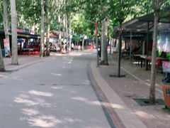 -廊坊市自然公园