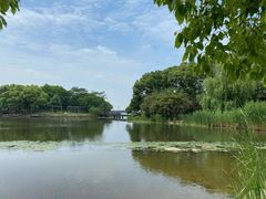 -蠡湖大桥公园
