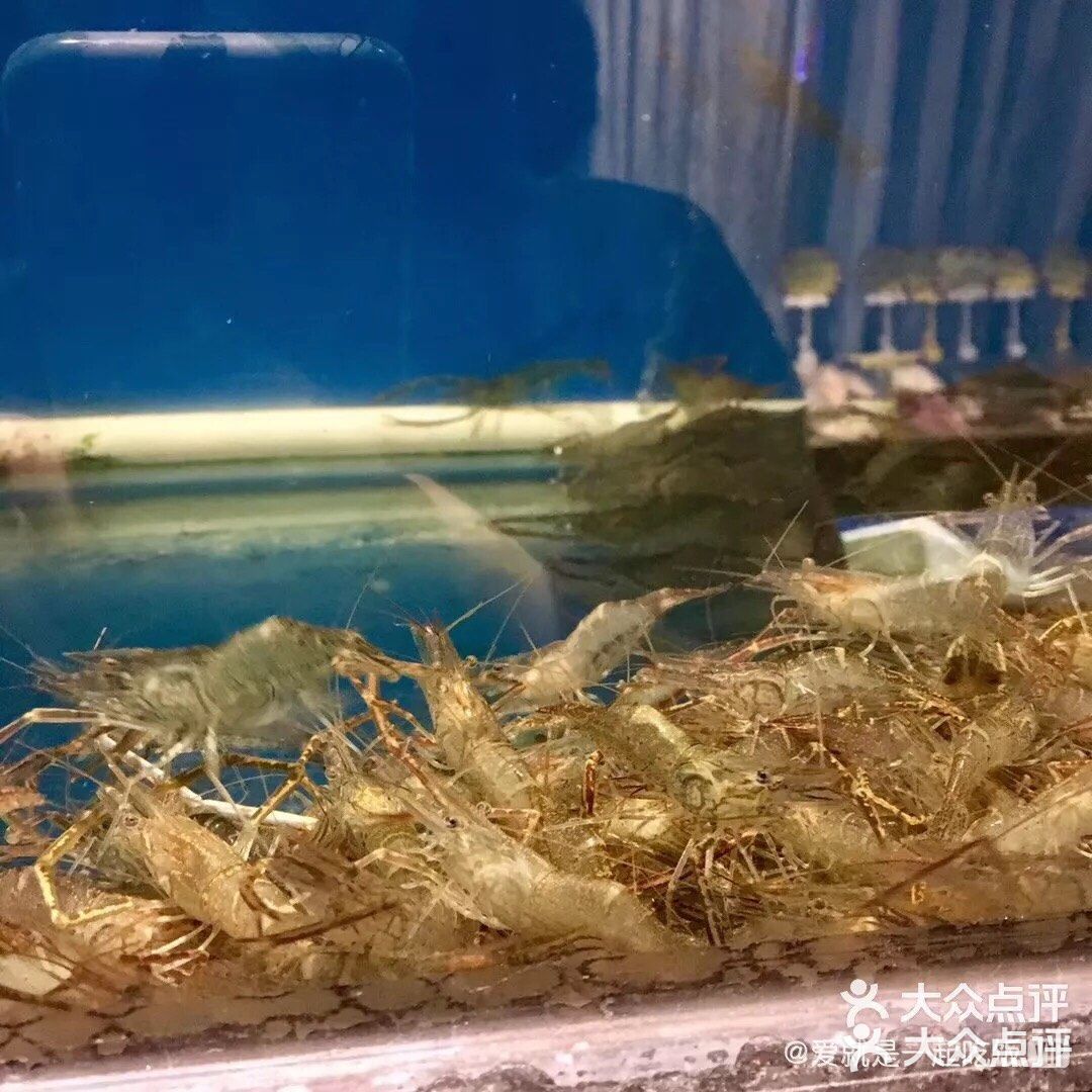 温州海鲜大排档代表[得意]正宗的温州味道