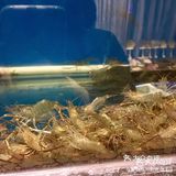 温州海鲜大排档代表[得意]正宗的温州味道