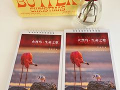 -罗红摄影艺术馆