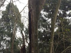 -金堂县云顶石城风景区