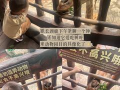 -长鹿旅游休博园