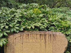 -徐家汇源景区-衡山公园