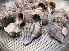 小海螺-船梆煮•蒸汽海鲜·炉火烤肉(五四广场店)