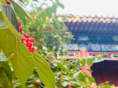 -大钟寺古钟博物馆