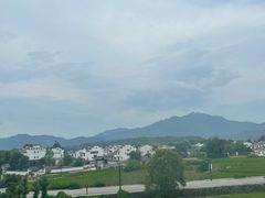 -黄牛肉馆·皖南土菜