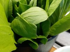 -三人行骨头王火锅(长寿店)