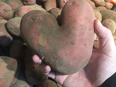 -世纪家家福生活广场(和义店)