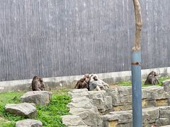 -上方山森林动物世界