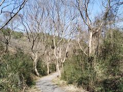 -青龙山国家森林公园