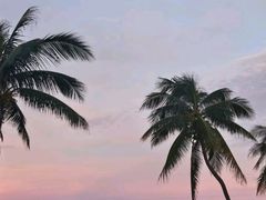 -JW万豪厨房餐厅·滨海草坪烧烤·海鲜·海景(三亚绿发山海天JW万豪酒店)