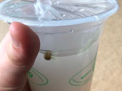 -一杯绿豆汤(柏庐广场店)