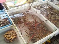 -南沙十九涌渔人码头-南门