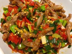 鸭掌筋-壹盏灯(惠农店)
