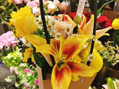 -谷莠子花艺·气球派对·绿植造景·花艺沙龙(金光华广场店)