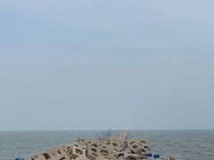 -东疆建设开发纪念公园